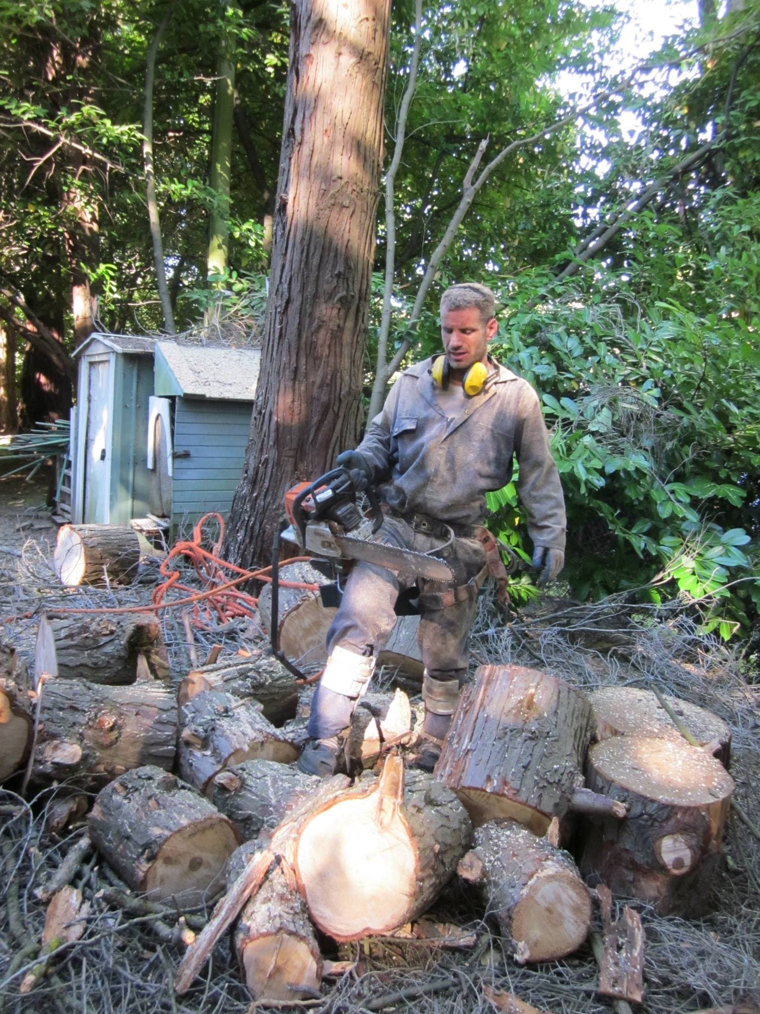 Arborist ground crew with cut log pile after tree removal in Delta