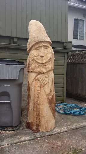 Professional hedge trimming by Aesthetic Tree & Hedge Services in Greater Vancouver