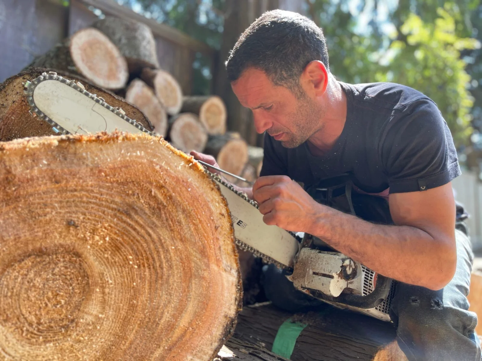 ISA-certified arborist performing tree care in Port Coquitlam