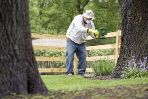 16071 a man spreading fertilizer on his garden pv