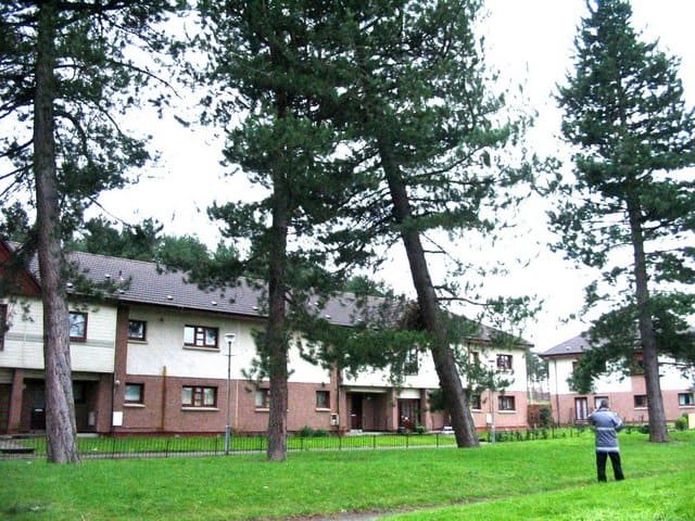 Possible dangerous tree   geograph.org .uk   563926