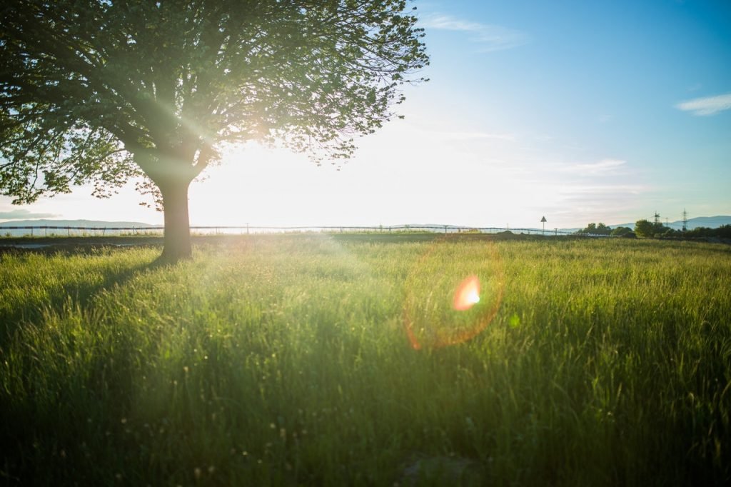 nature sky summer sun 34066