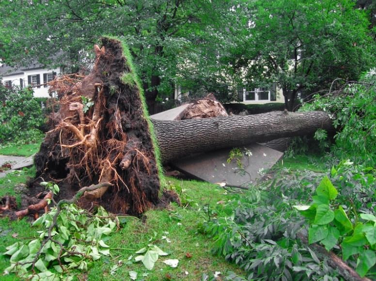 Larger Storm Risks