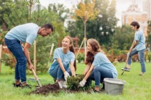 Tree care tree planting