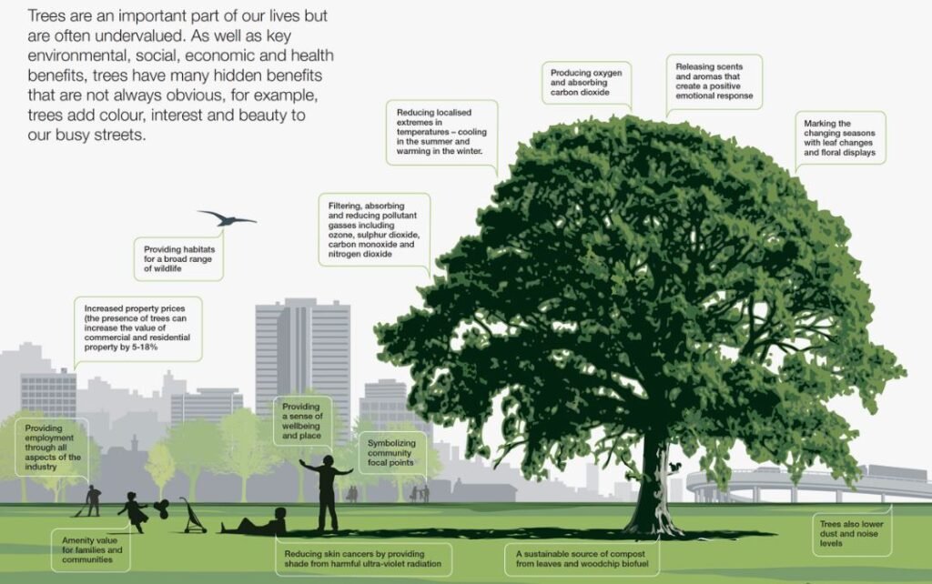 tree shades benefits