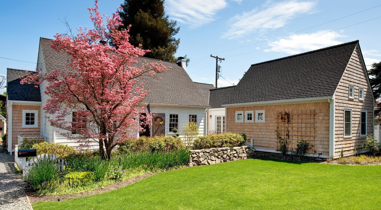 Laneway-home-tree-removal-replacement